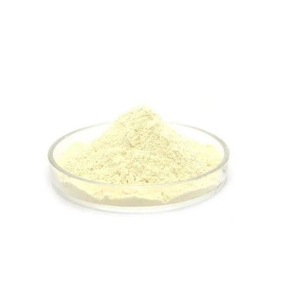 Organic Compound Dimethylamino Benzoic Acid
